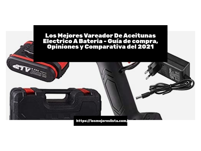 Los Mejores Vareador De Aceitunas Electrico A Bateria - Guía de compra, Opiniones y Comparativa de 2024