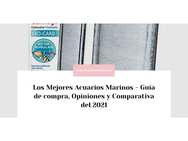 Los Mejores Acuarios Marinos - Guía de compra, Opiniones y Comparativa de 2024