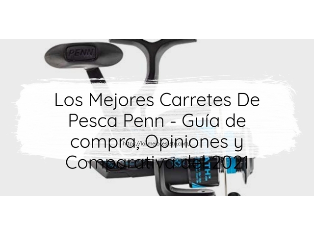 Los Mejores Carretes De Pesca Penn - Guía de compra, Opiniones y Comparativa de 2024