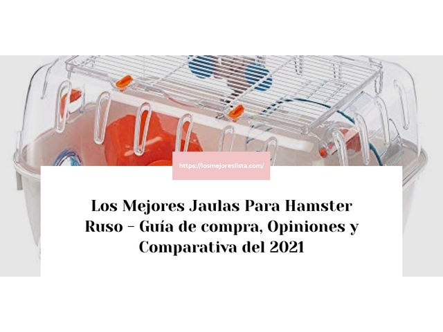 Los Mejores Jaulas Para Hamster Ruso - Guía de compra, Opiniones y Comparativa de 2024